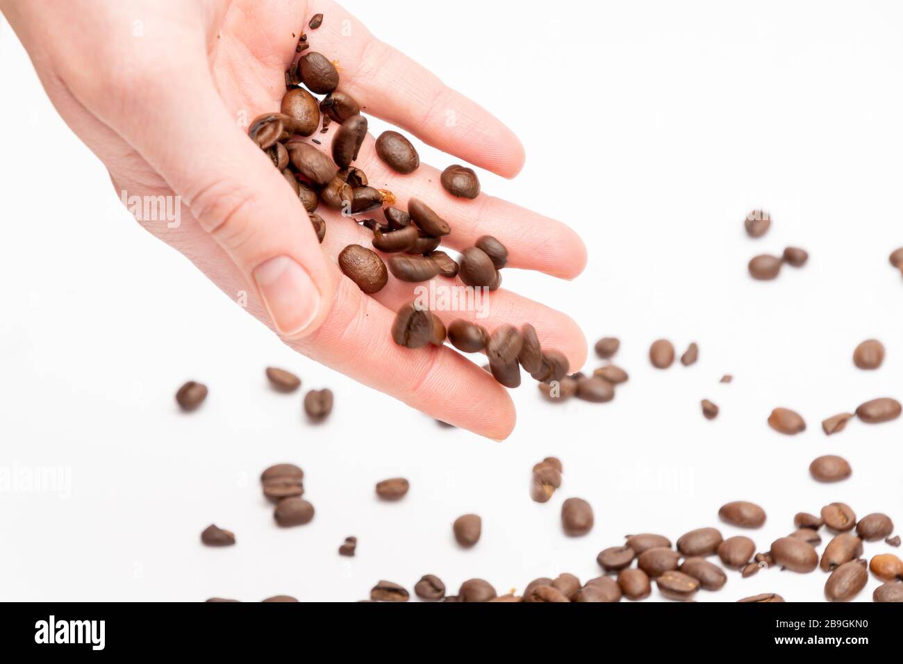 Fresh roasted coffee beans falling down out of hand in front of a white ...