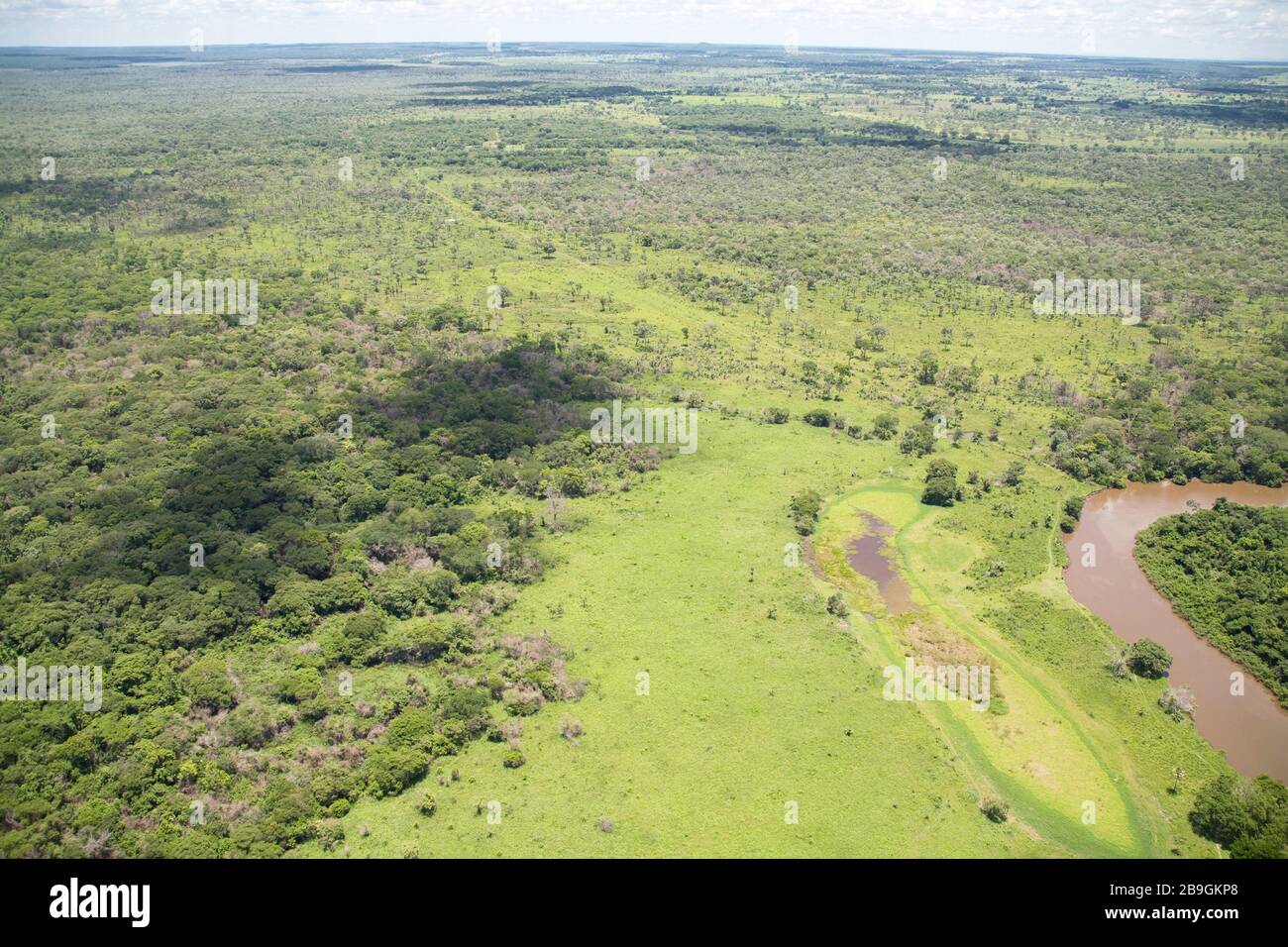 Miranda River, Plain of Flood, Miranda, Mato Grosso do Sul, Brazil ...