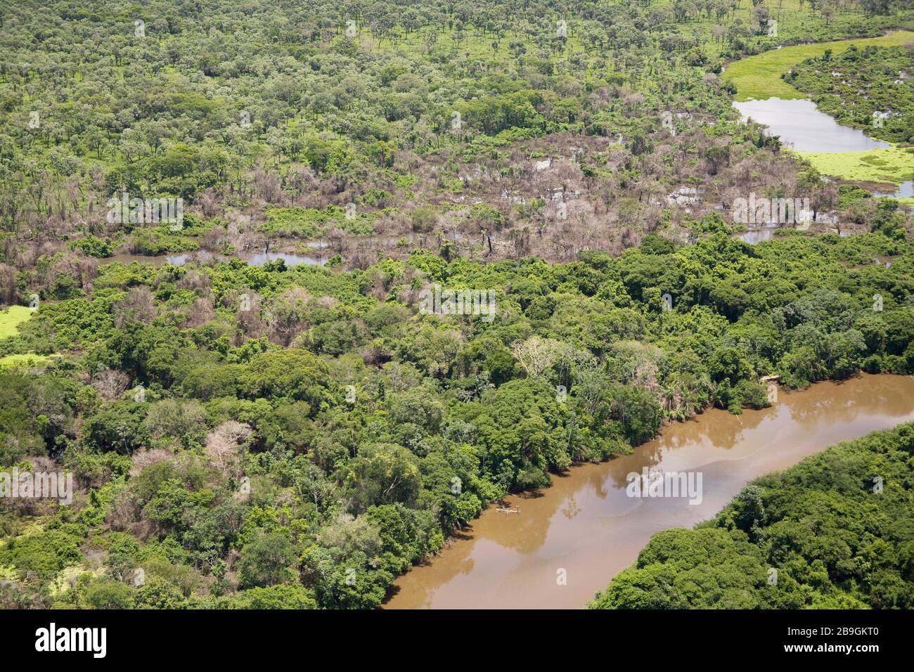 Miranda Mato Grosso do Sul fonte: c8.alamy.com