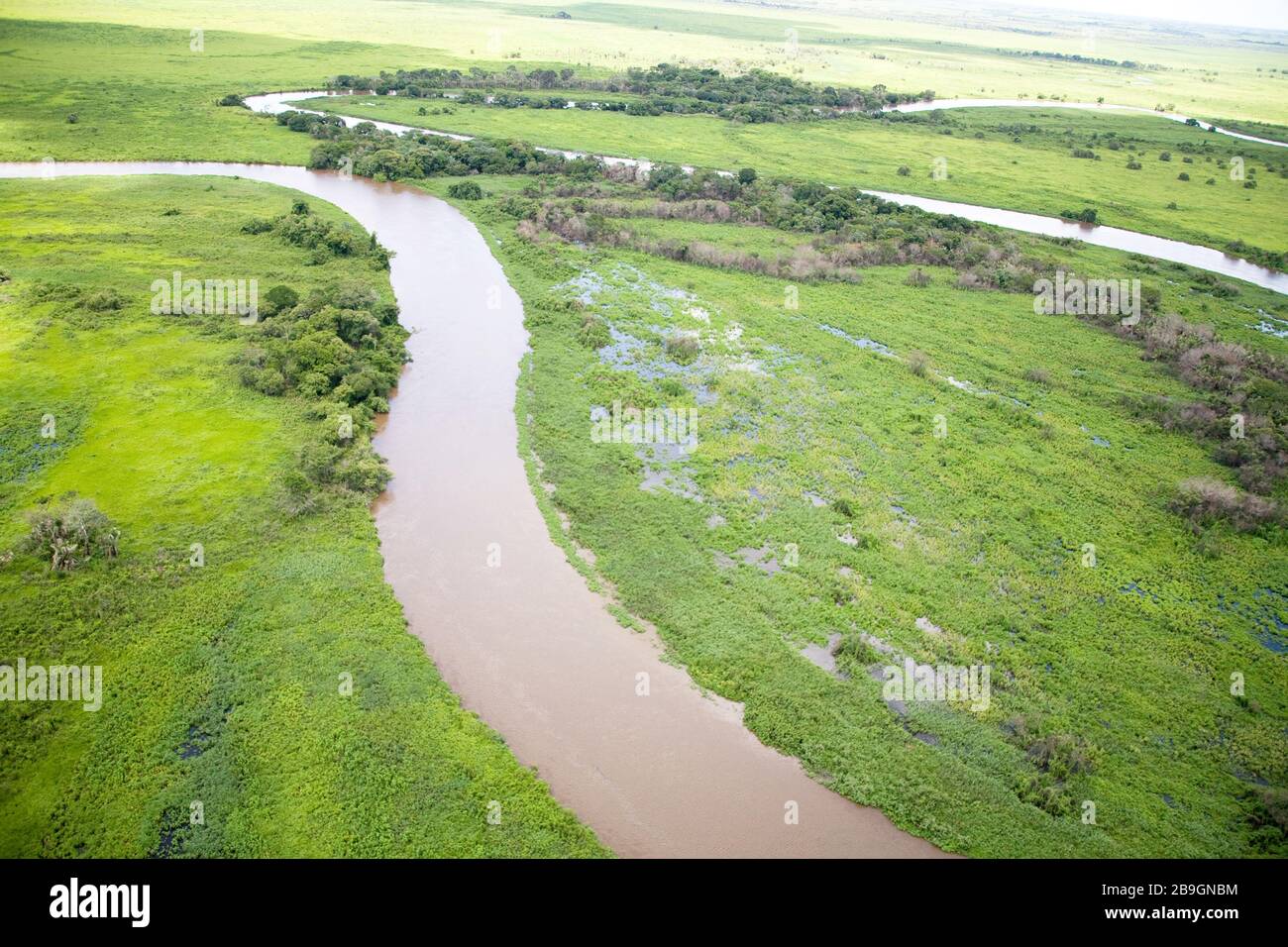 Miranda Mato Grosso do Sul fonte: c8.alamy.com