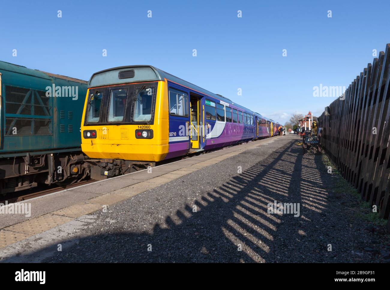 Former Northern rail class 142 pacer trains at 142060 + 142028at Leeming Bar on the Wensleydale railway on their first day running in preservation Stock Photo