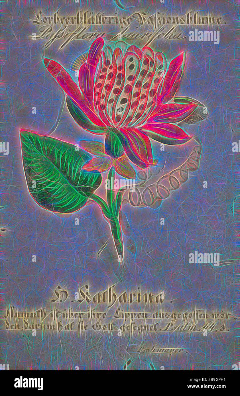 Print with flower, stuck on the card, hidden under the loose part of the flower an image of Saint Catherine, church print picture material paper, printed lithography colored Multicolored flower on the card stuck with hidden under the loose part of the flower multicolored image Lorbeerblätterige Passionsblume. Passiflora Laurifolia. remember praying religion religious ceremony ceremony Catherine Catherine of Alexandria Stock Photo
