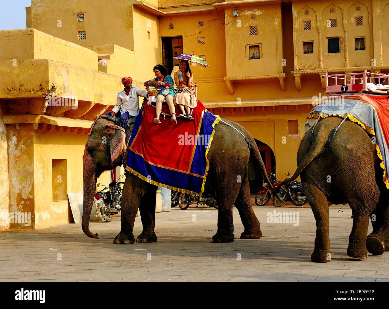 Tourists enjoying an elephant ride hi-res stock photography and images ...