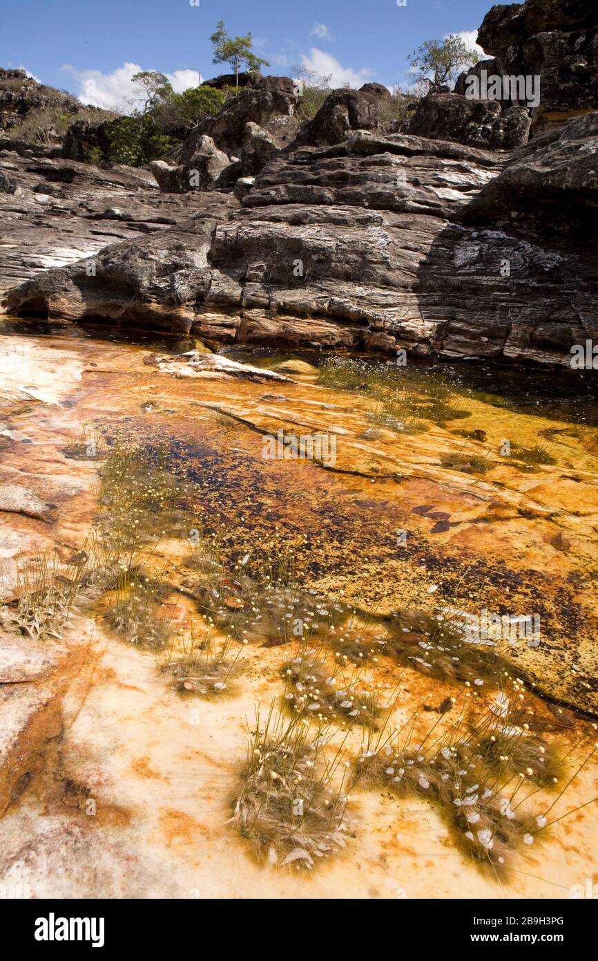 São Gonçalo do Rio Preto Minas Gerais fonte: c8.alamy.com