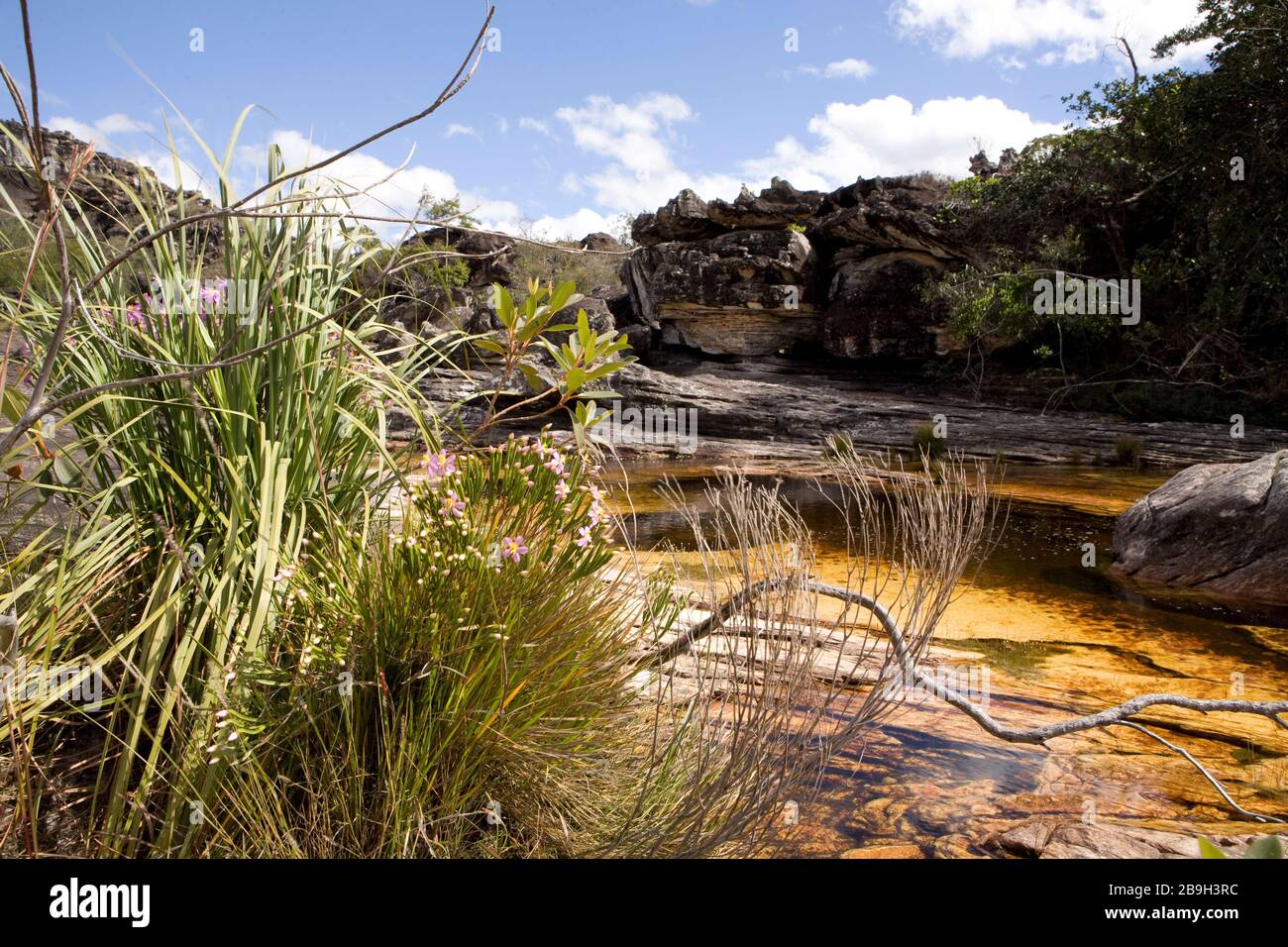 São Gonçalo do Rio Preto Minas Gerais fonte: c8.alamy.com