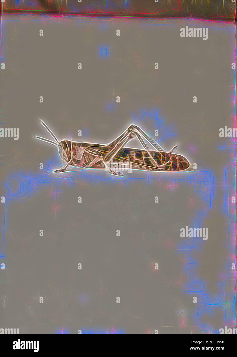 The terrible plague of locusts in Palestine, MarchJune 1915. The