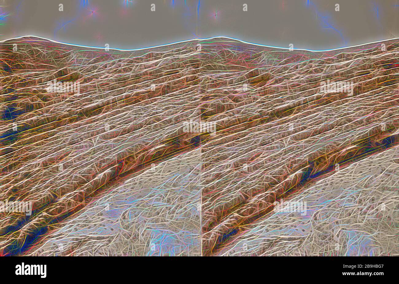 Geology. Inclined limestone bed at Ain Farah. 1900, West Bank, Middle East Stock Photo Alamy