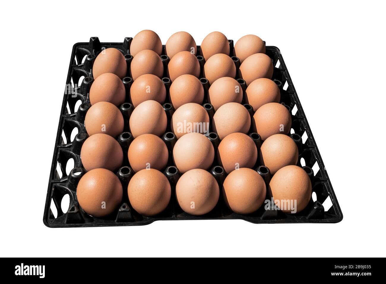 Eggs in package black plastic, Isolated on white background. with clipping path. Stock Photo