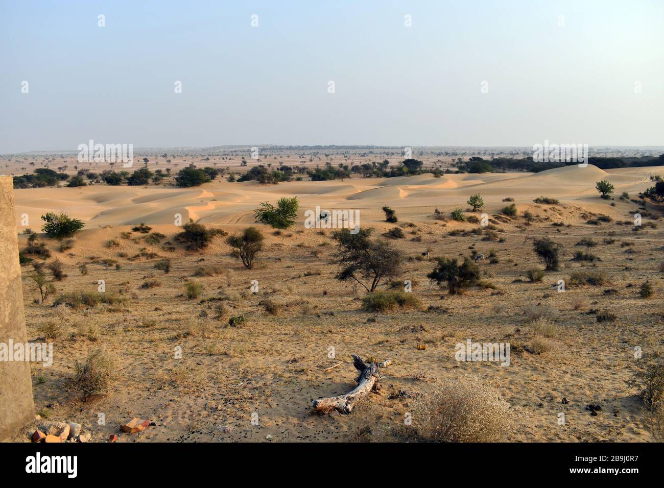 Jaisalmer, Rajasthan, India. The Thar desert Stock Photo - Alamy