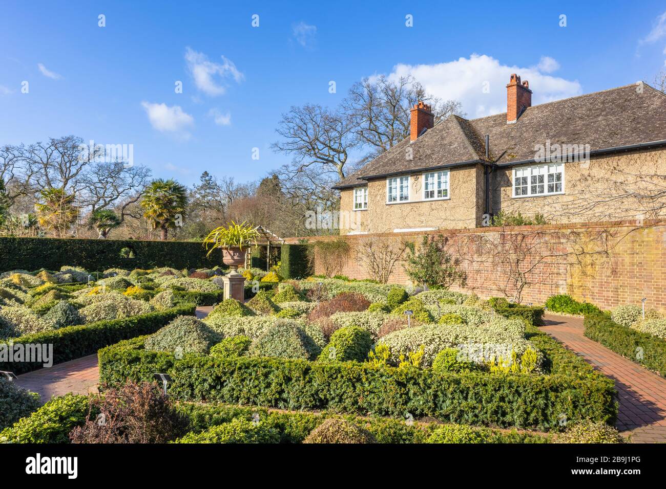 The formal Knot Garden, an enclosed walled garden with evergreen bushes including berberis, RHS Gardens, Wisley, Surrey, south-east England, in winter Stock Photo