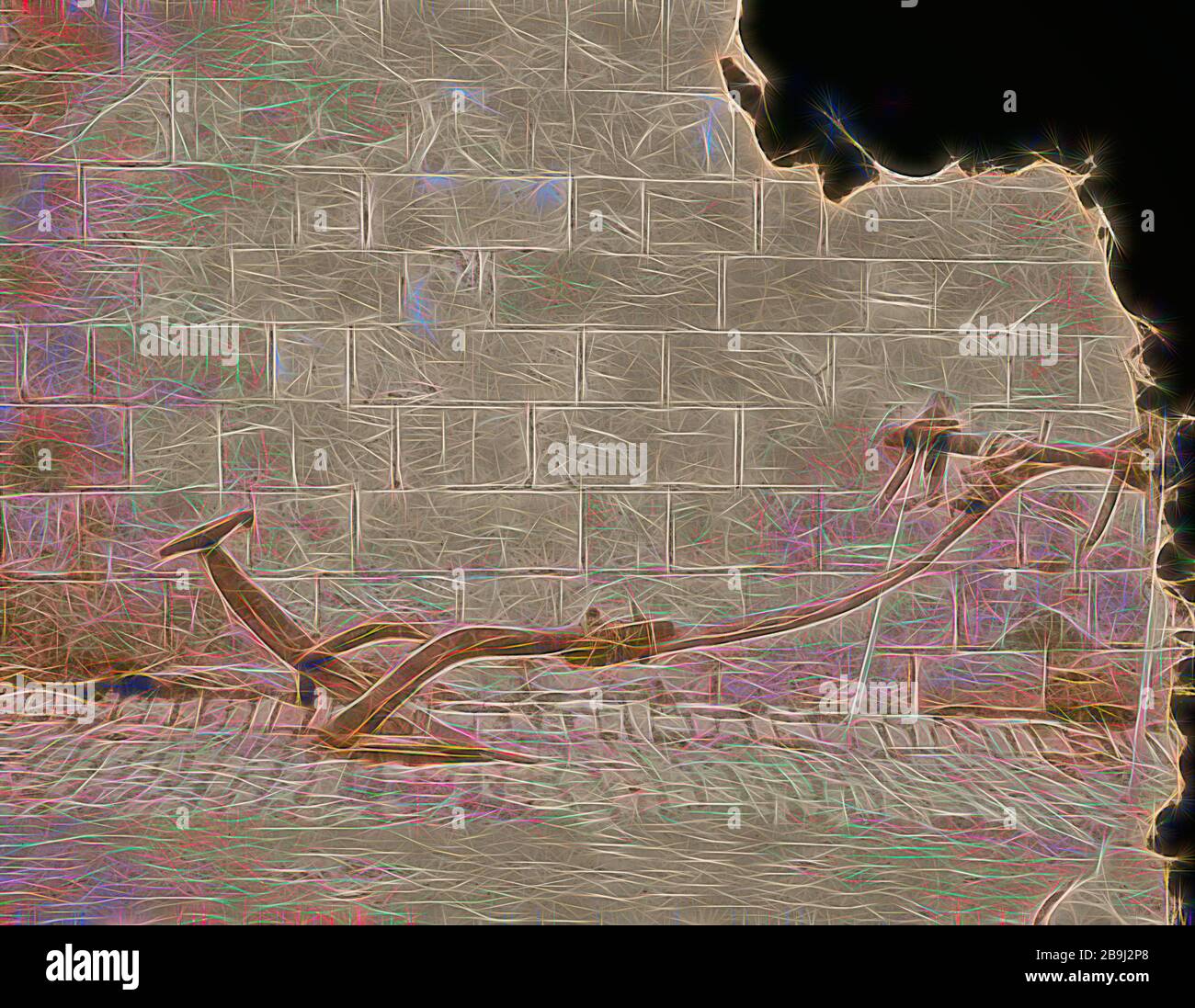 Arab plow with yoke for animal by which to draw the plow. 1898, Middle