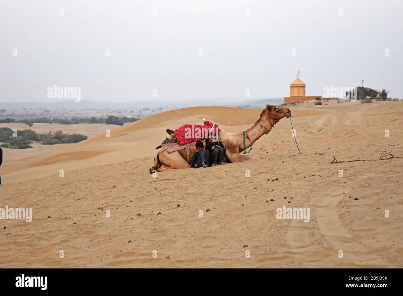 Jaisalmer, Rajasthan, India. The Thar desert Stock Photo - Alamy