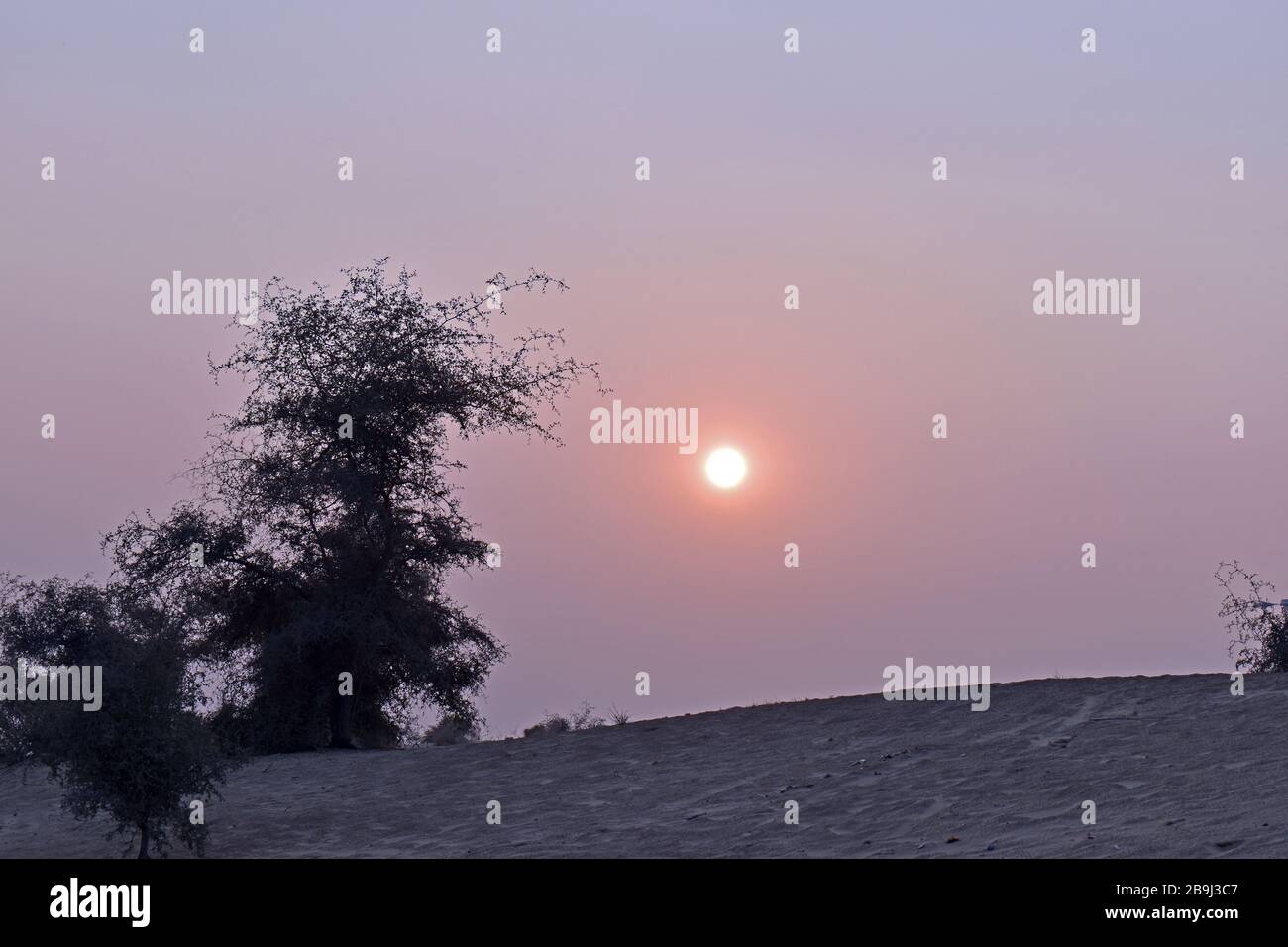 Jaisalmer, Rajasthan, India. The Thar desert Stock Photo - Alamy