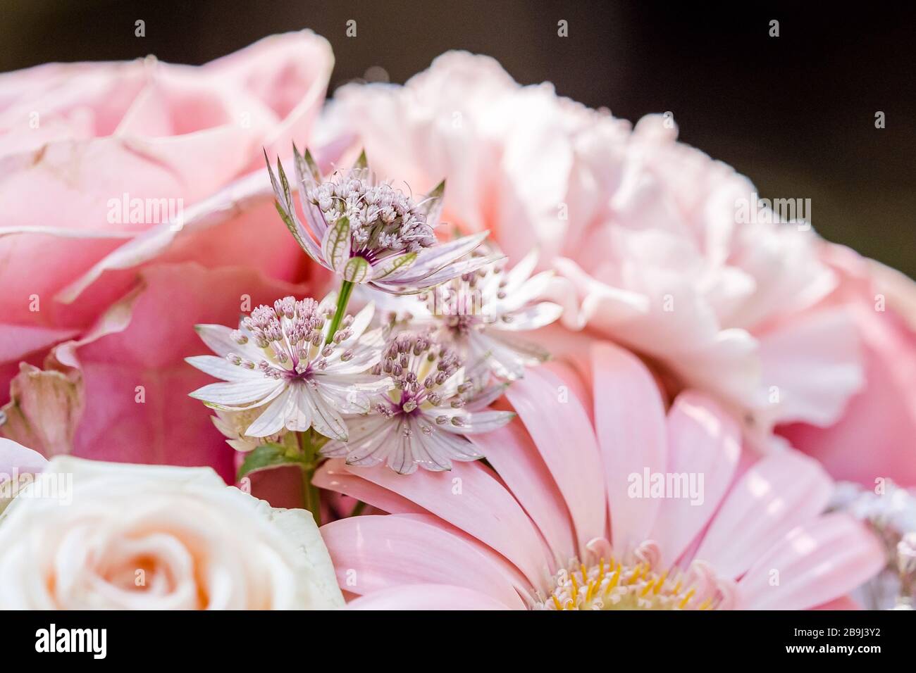 Pastel Pink And Purple Bridal Flower Bouquet Stock Photo Alamy