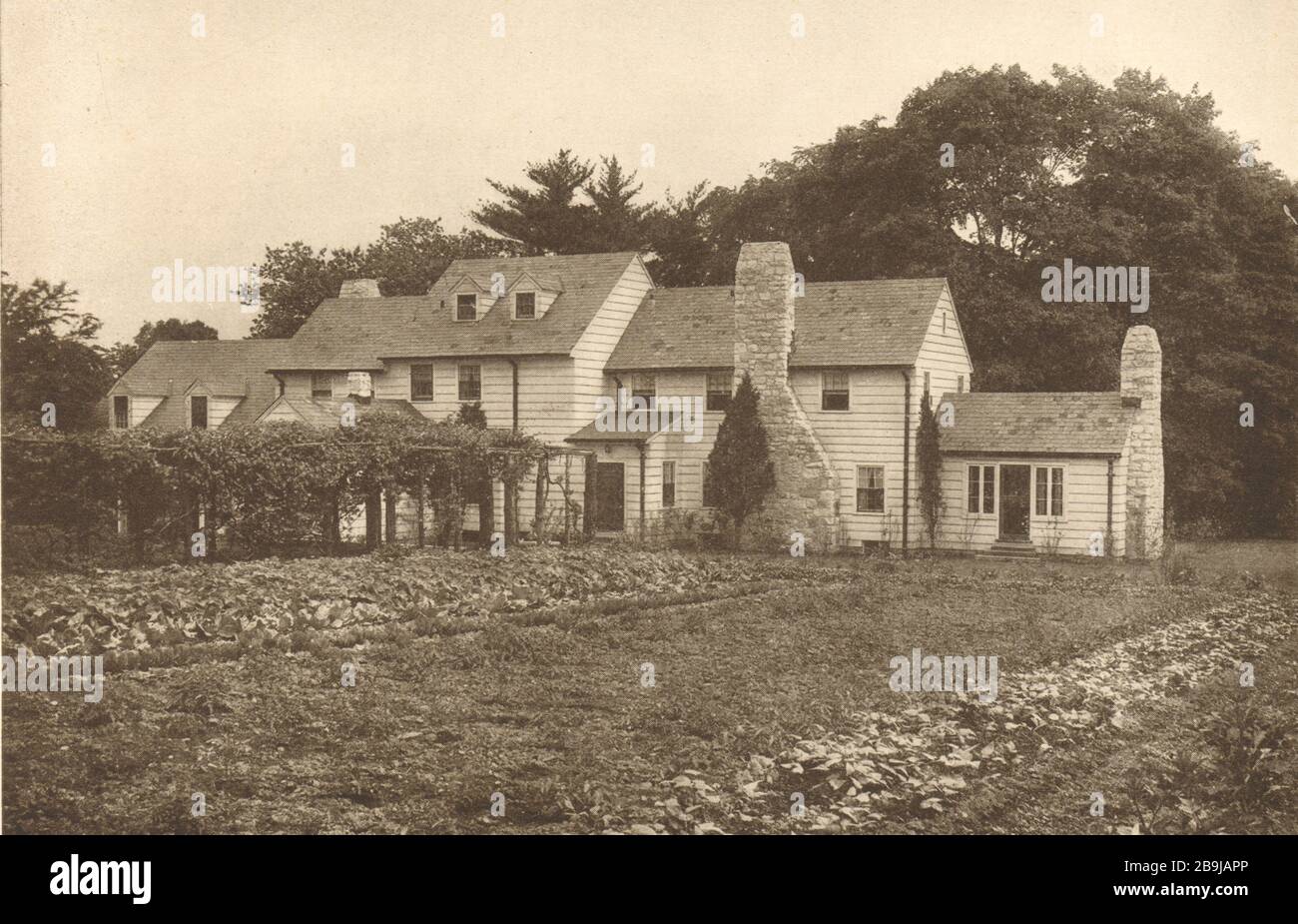 Residence, Allen Tobey, Scarsdale, New York. Garden. Julius Gregory