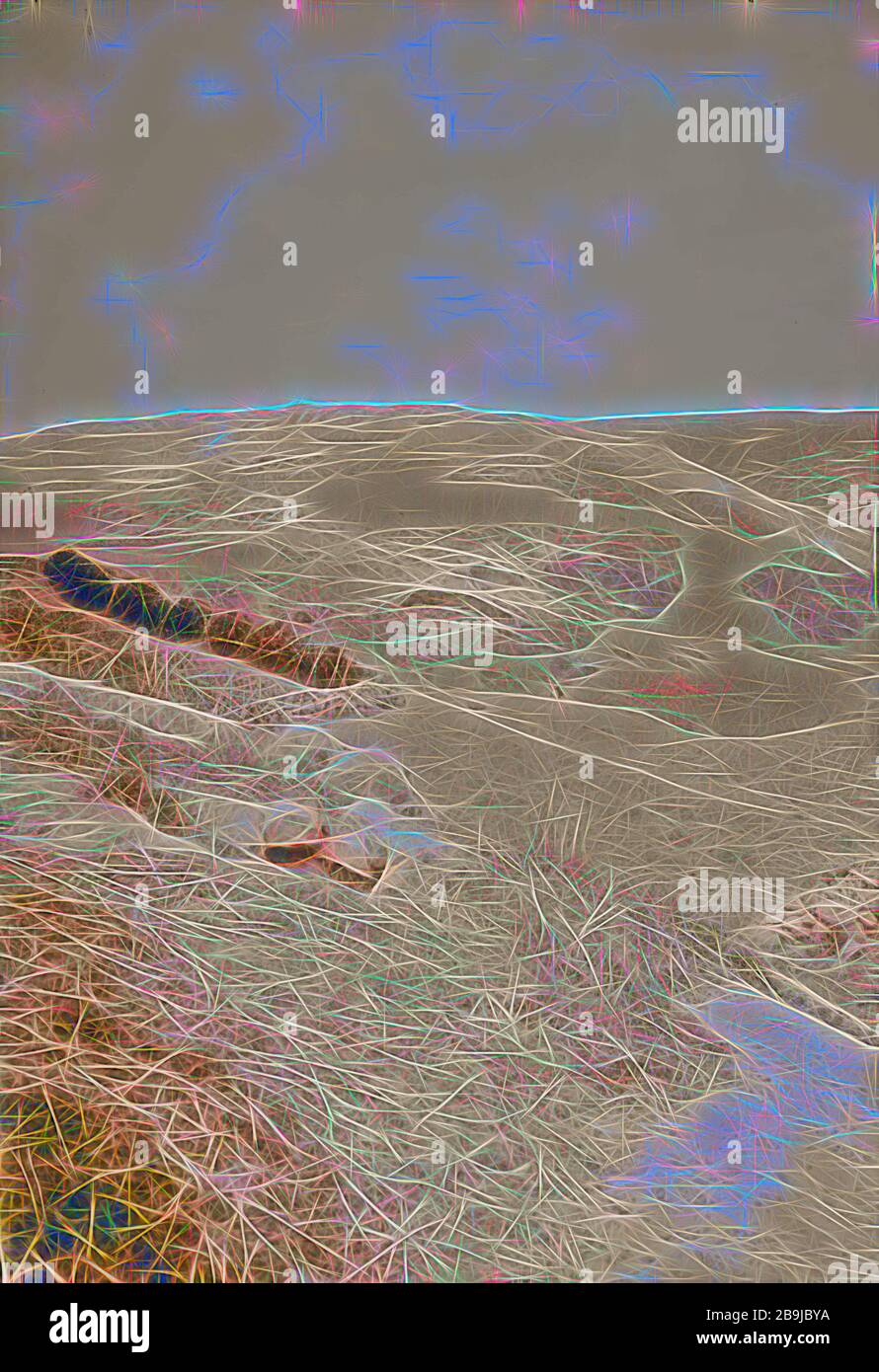 Tell Beit Mirsim. 1926, Israel, Debir (Extinct city Stock Photo Alamy