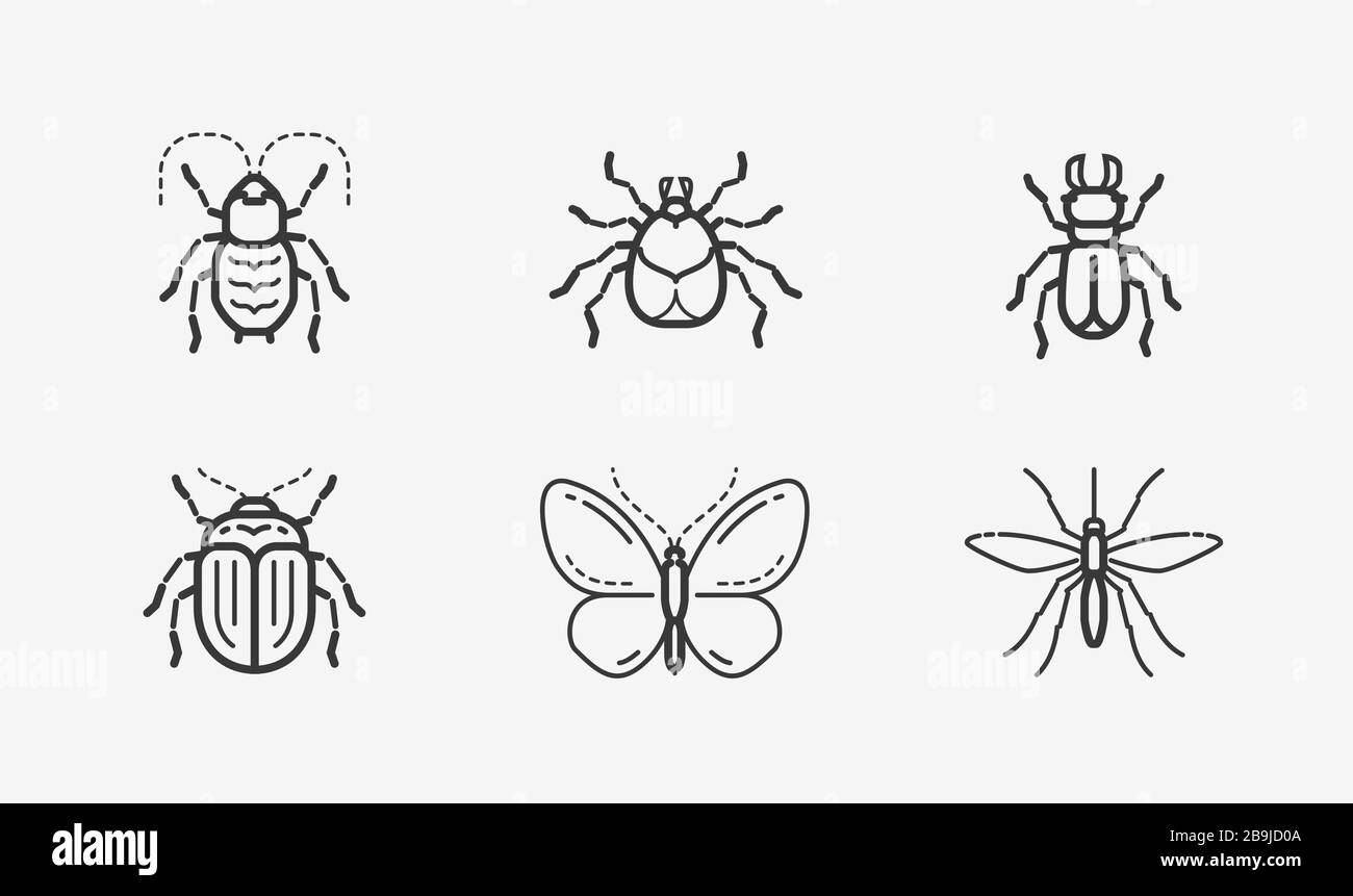 Insects icon set in linear style. Animals vector illustration Stock Vector