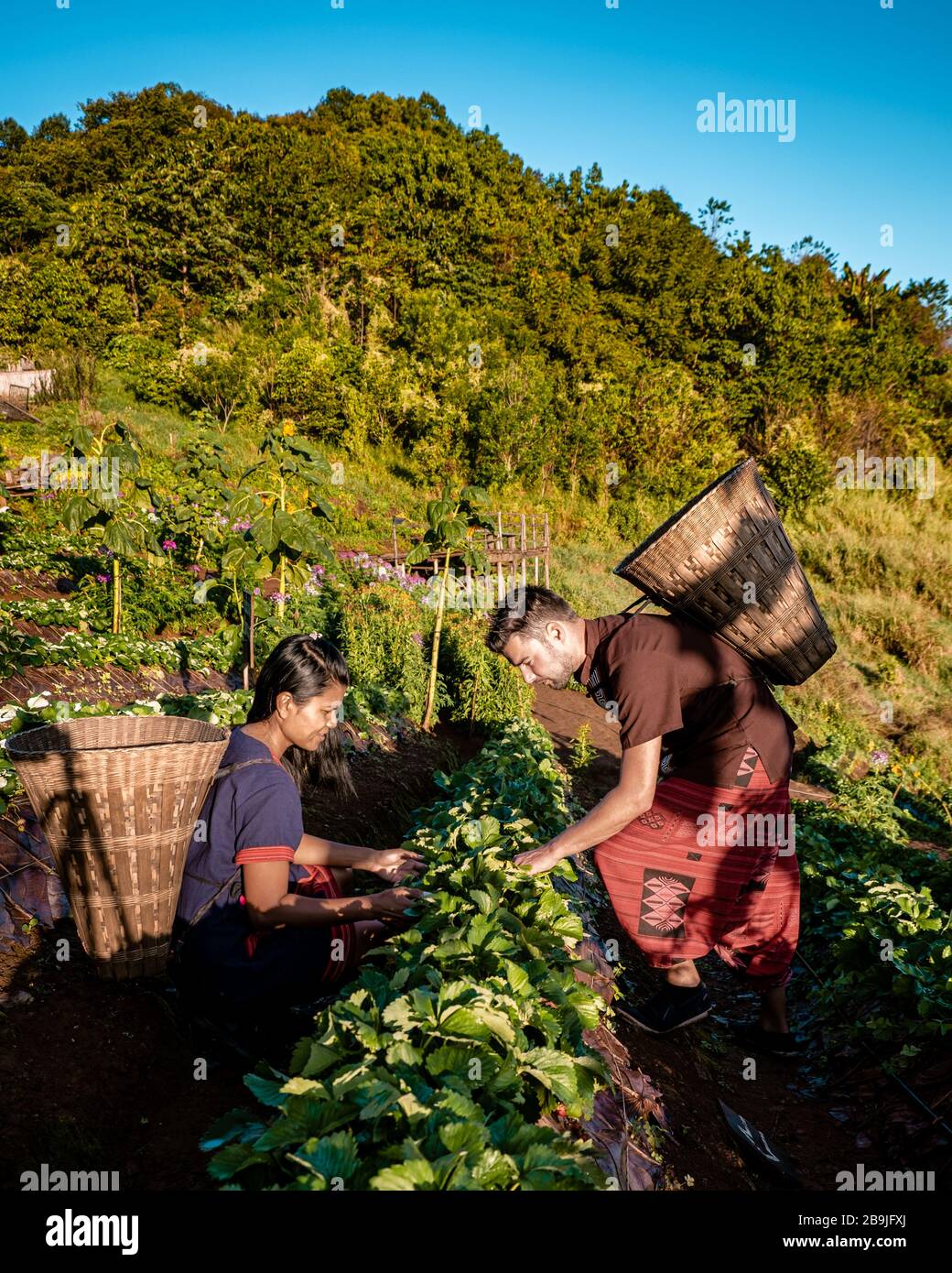 MonCham Chiang Mai Thailand, couple in traditional lana clothes, men and woman picking up