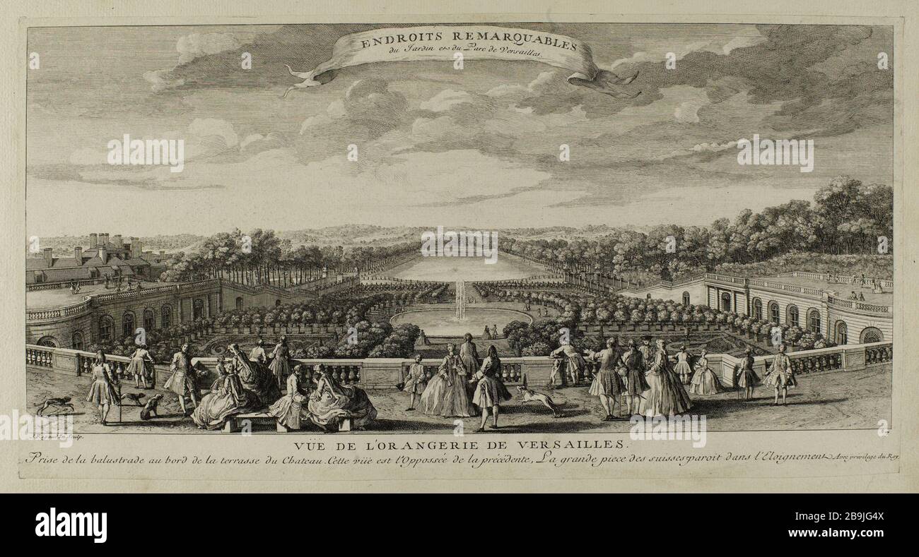 FOR THE ORANGERIE DU CHATEAU DE VERSAILLES Vue De L Orangerie Du 