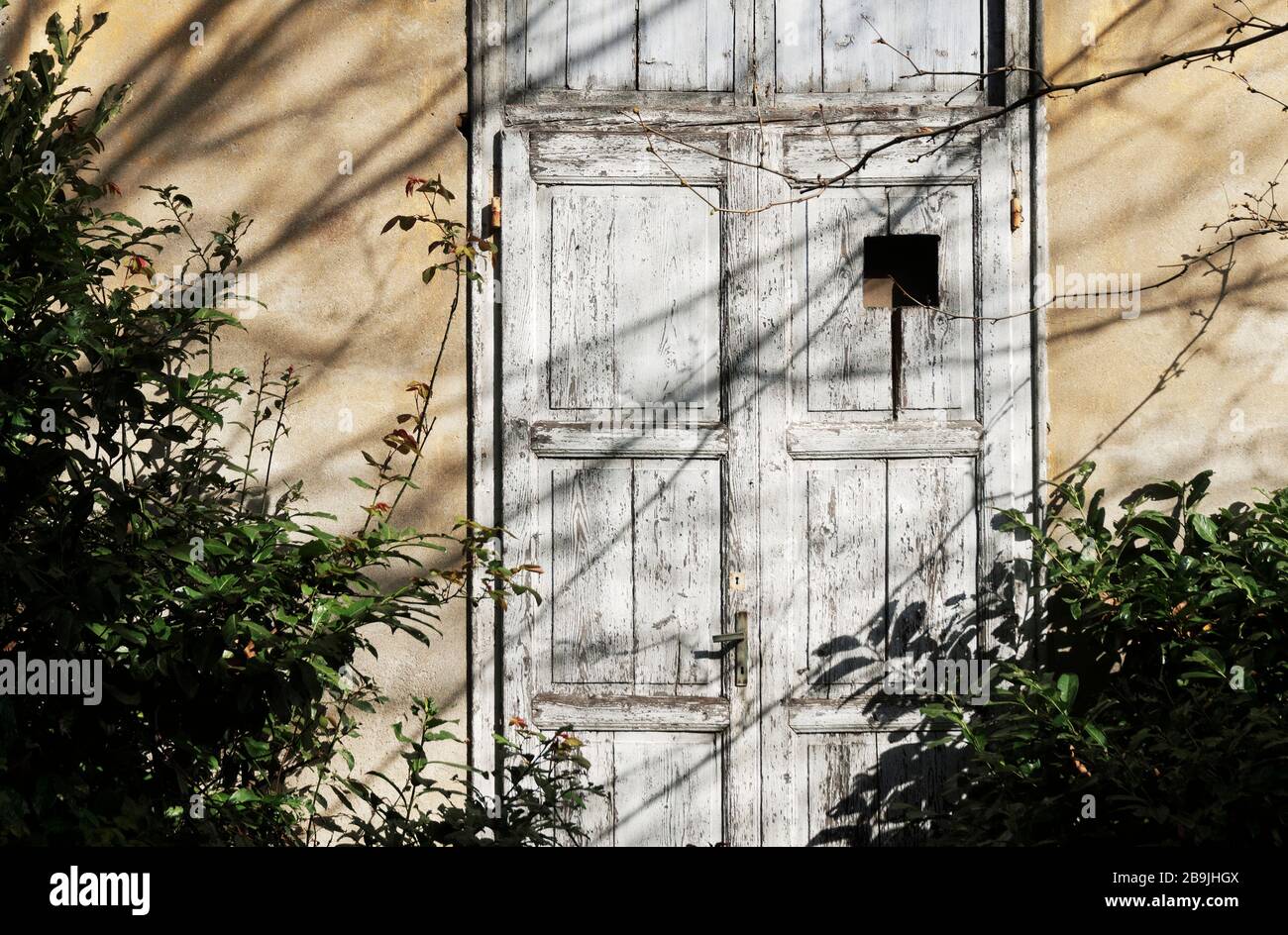abandoned house entrance and plants Stock Photo