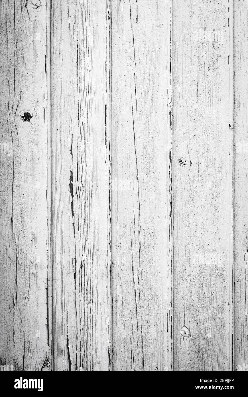 Snapshot of Vintage Shabby I White Rustic
