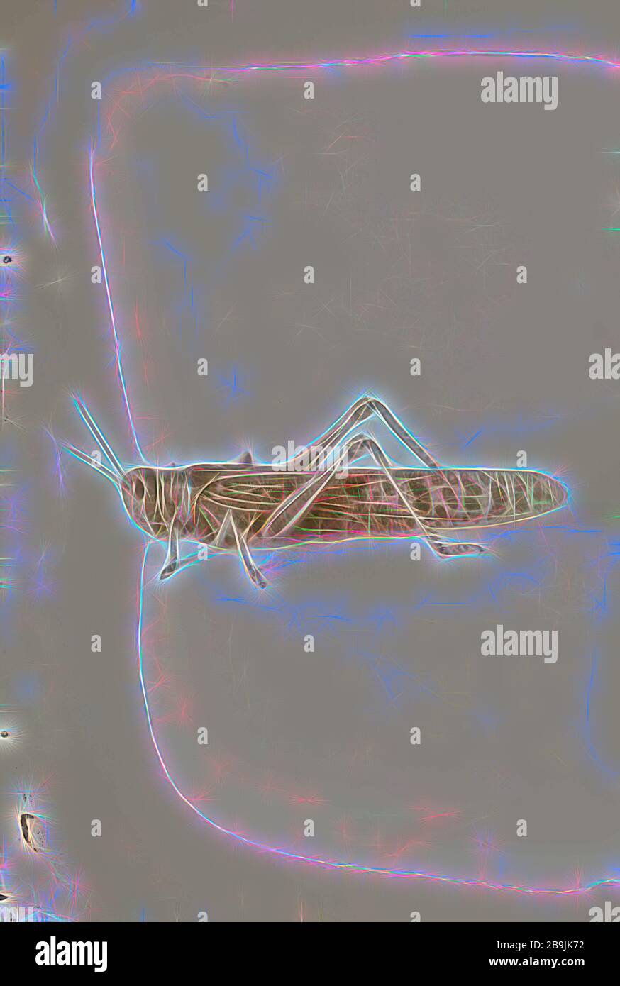 The terrible plague of locusts in Palestine, MarchJune 1915. The