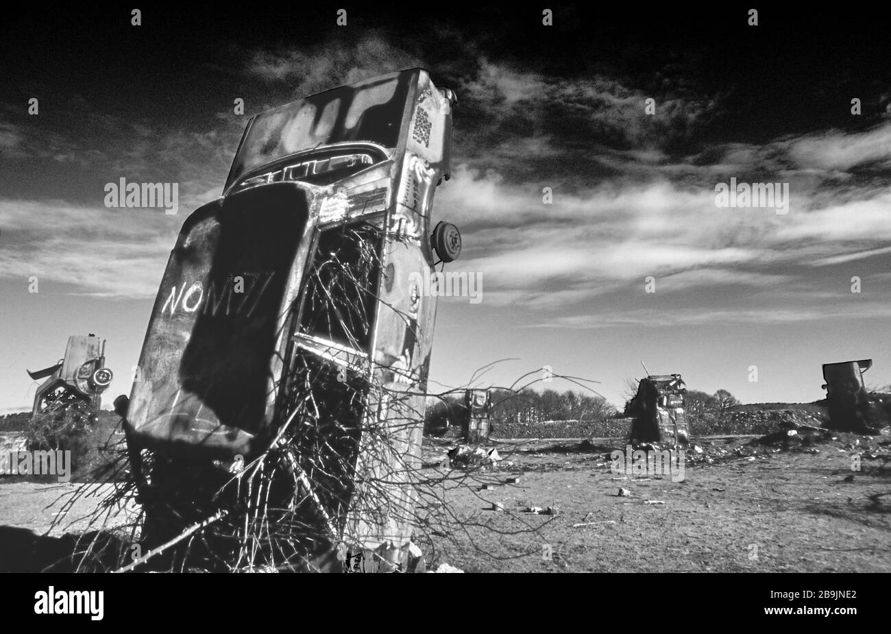 Carhenge in Pollock Park, Glasgow 1994. A collection of rusting cars upended and covered in graffiti as a protest at building of the M77 Motorway. Stock Photo