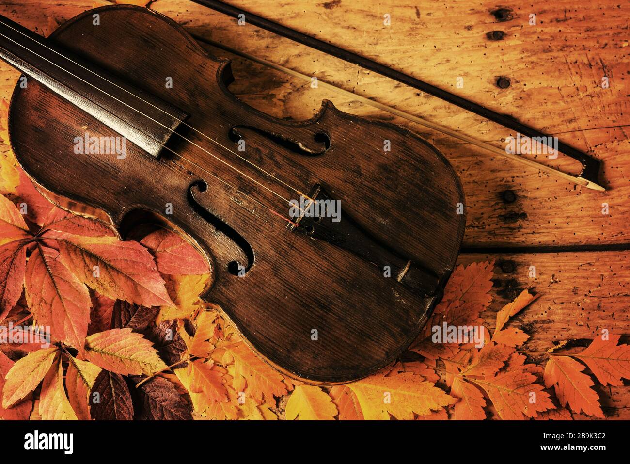 Rustic Fiddle Old violin and autumn leaves over an old rustic wooden table - top view ...