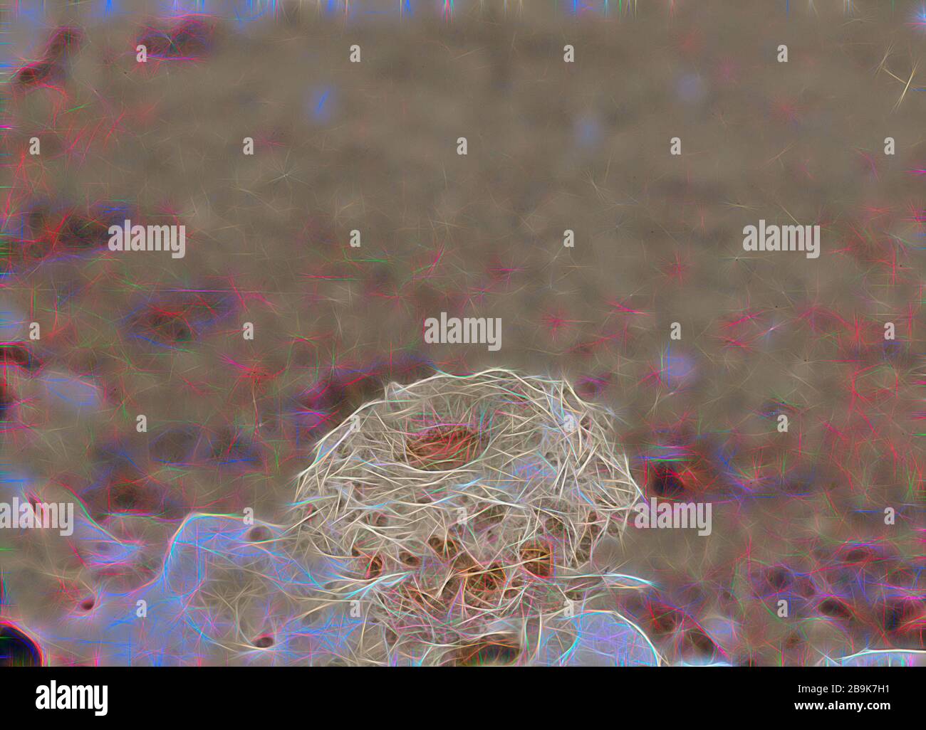 Geology. Petrified bird's nest. An unusual specimen showing marks of