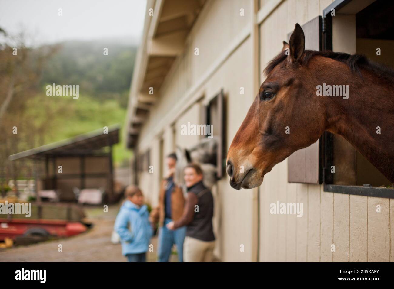 Family standing next to their horse's stable Stock Photo Alamy