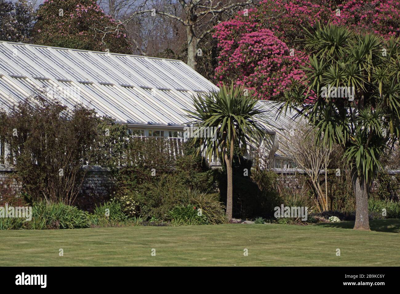 Tregrehan gardens Stock Photo