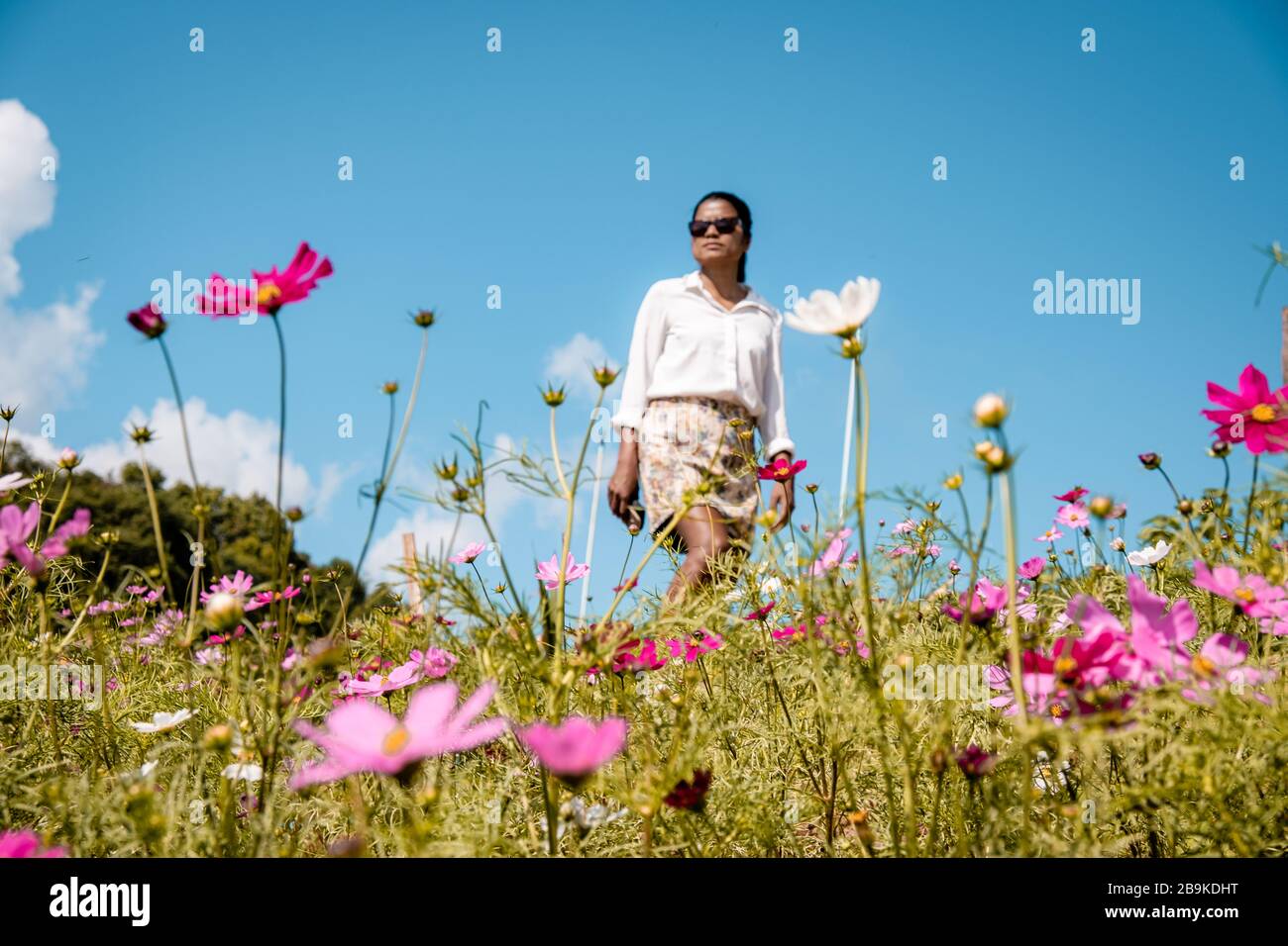 Mon Jam young woman at the mountains of Mon Cham Chiang Mai Thailand, fresh look of flowers outdoor woman spring view Stock Photo