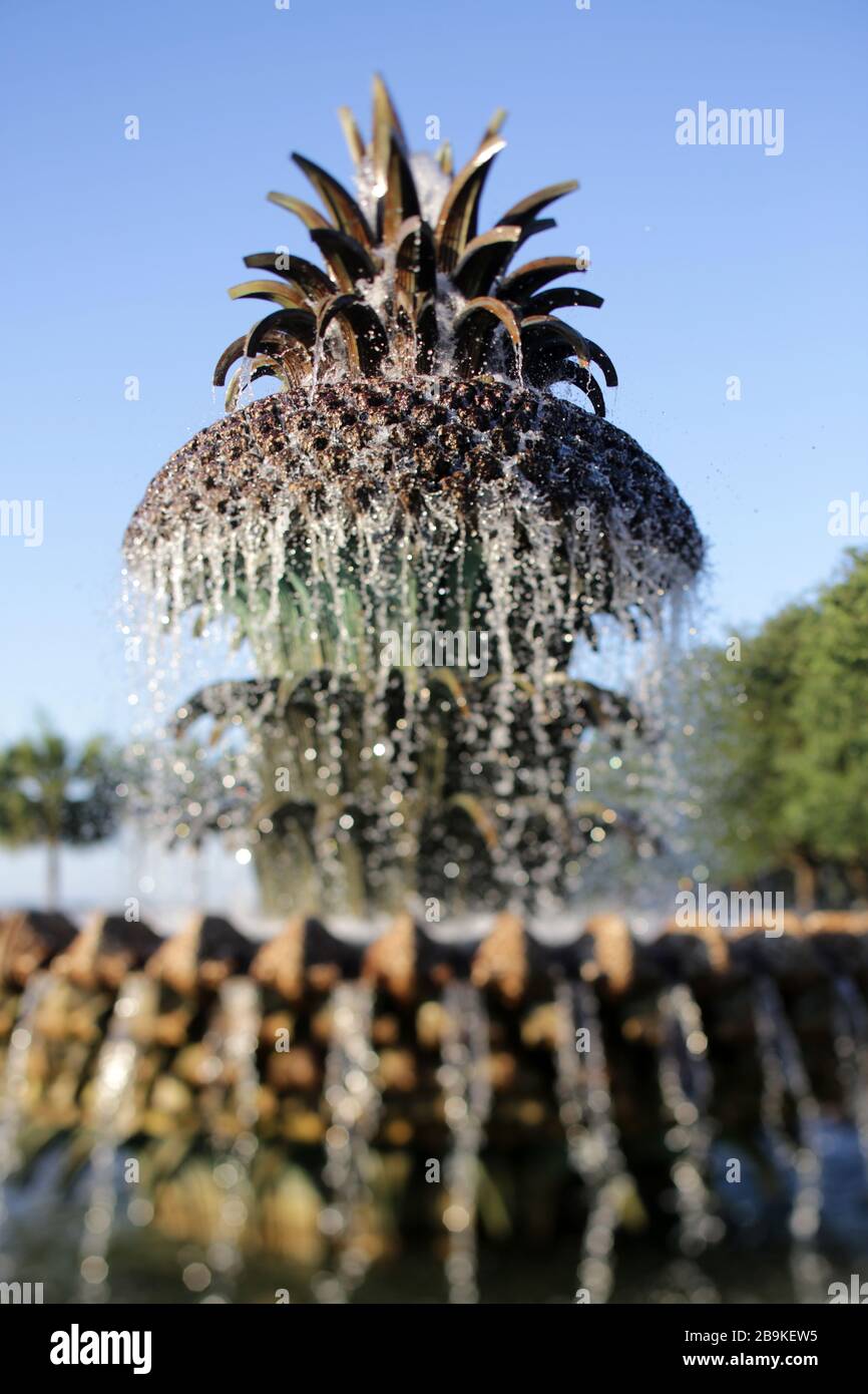 Pineapple Fountain In Charleston, South Carolina Stock Photo Alamy