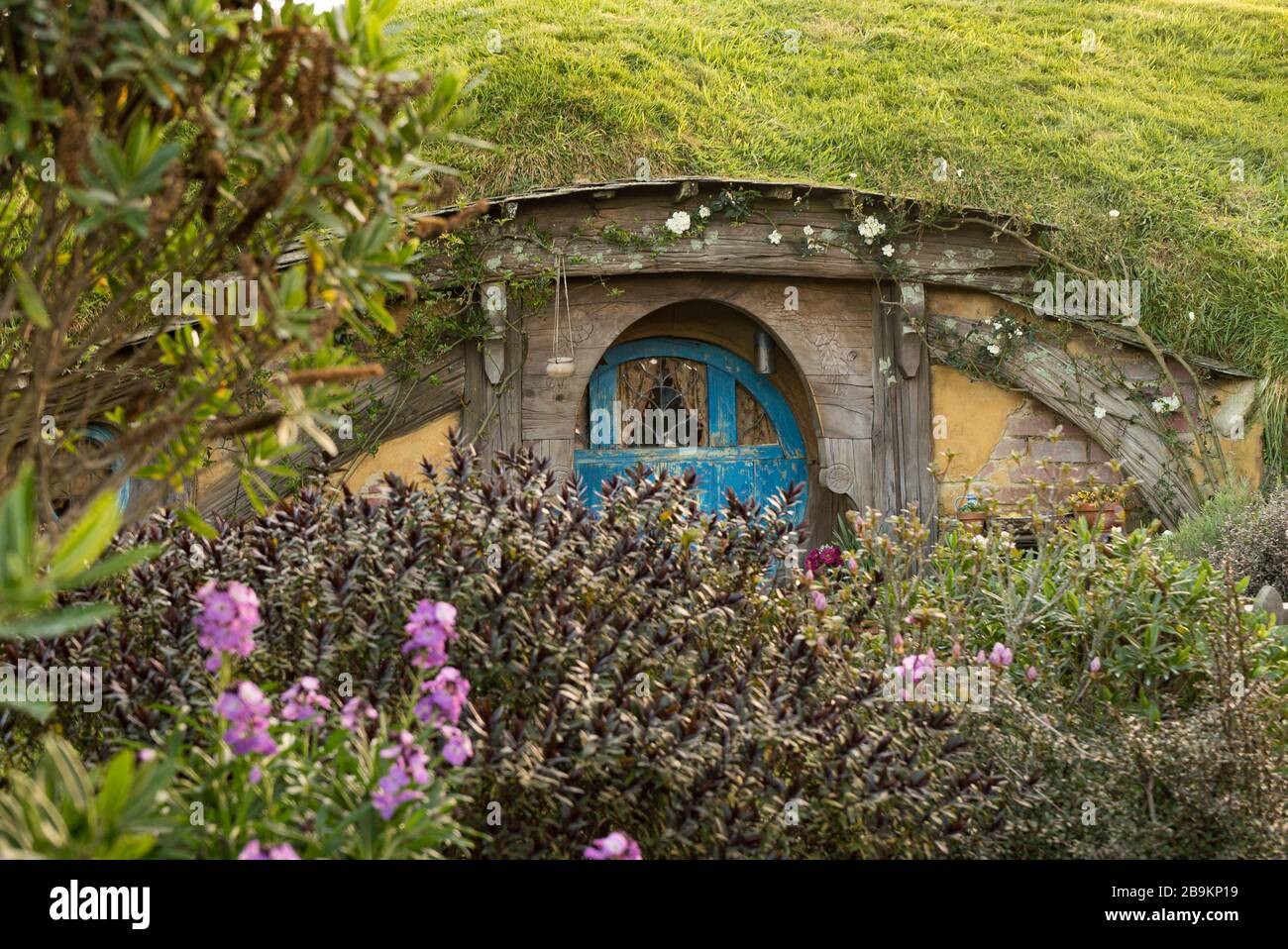 A round, blue door to a hobbit hole at the Hobbiton Movie Set, New Zealand Stock Photo