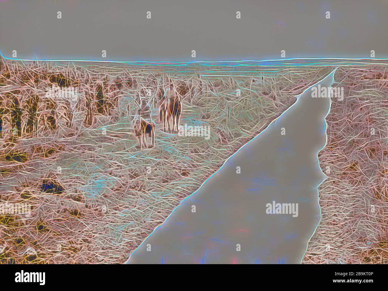 Birket israel hires stock photography and images Alamy