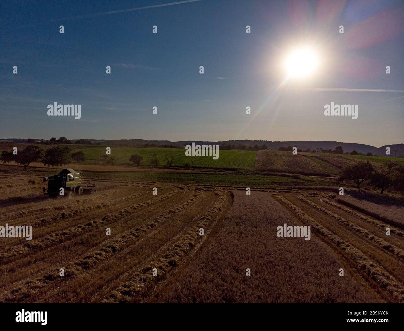 Daußen in unserer wunderschönen Natur Stock Photo