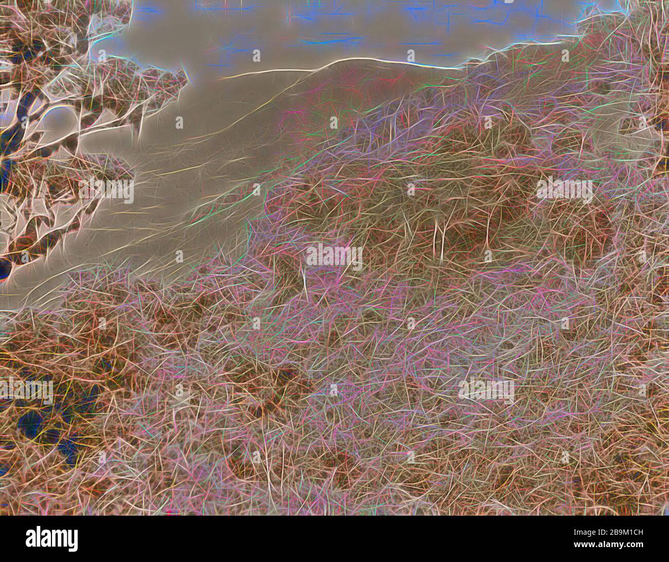 My Image 24