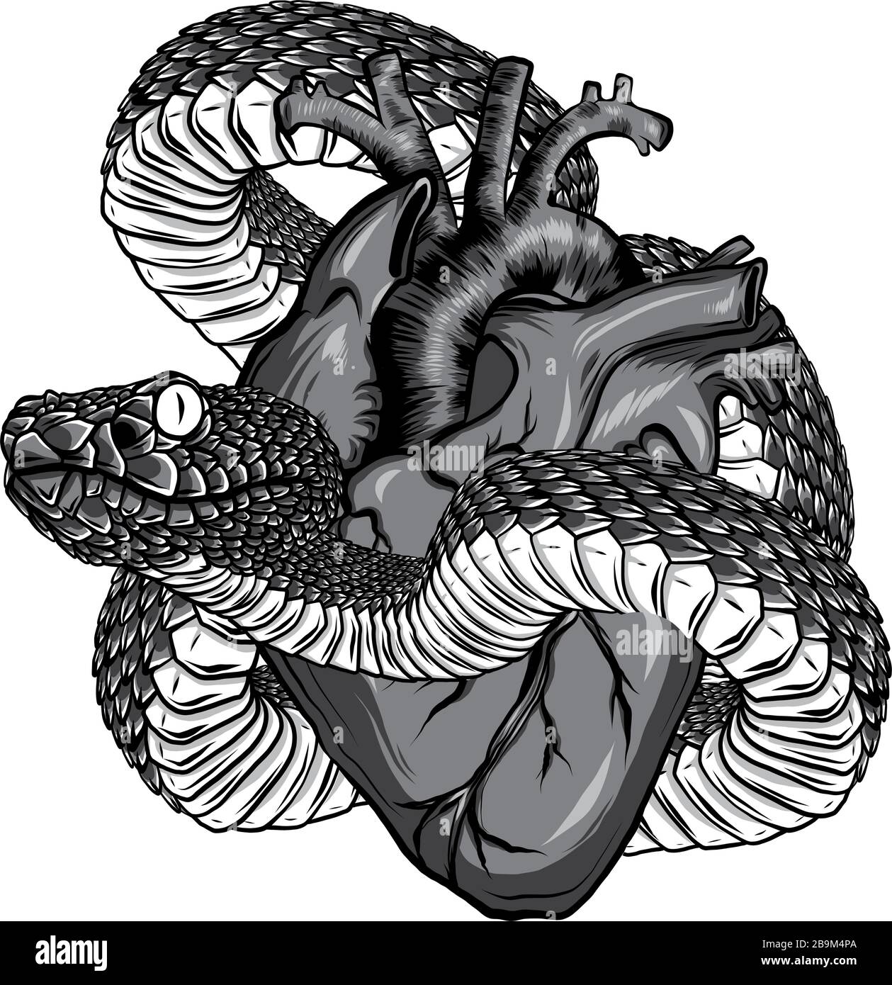 monochromatic Snake and heart tattoo. Symbol of love, envy, evil t-shirt design vector Stock Vector