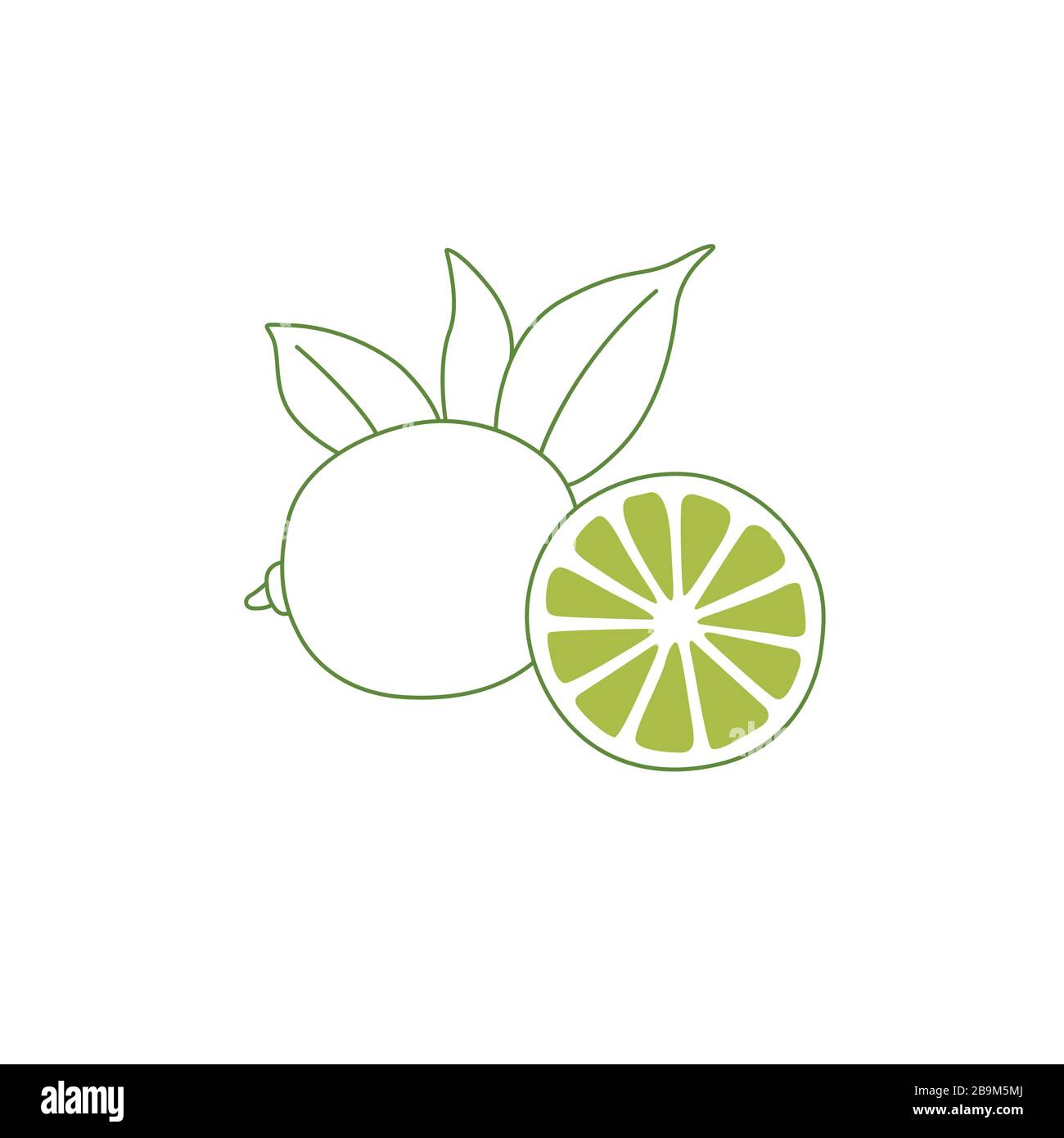 Simple Lime Line Vector Drawing on White. Citrus Logo, Icon Design Stock  Vector Image & Art - Alamy