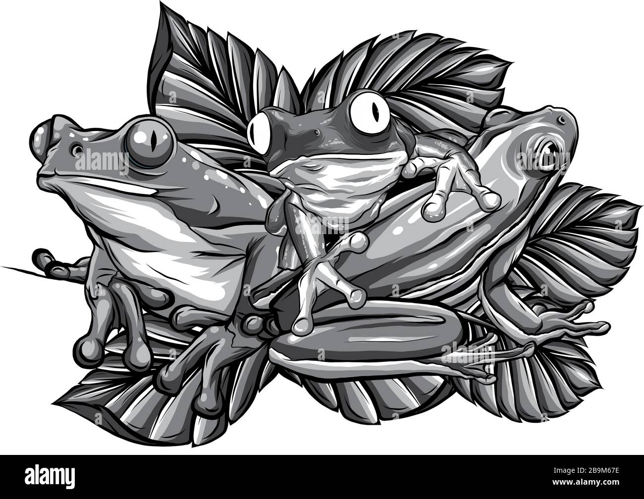 monochromatic green frog in different pose. Vector illustration Stock ...