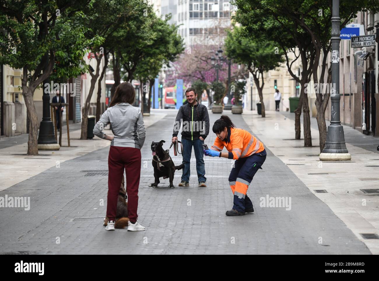 woman photographs dogs walking with their owners through an empty city on the Covid19 Stock Photo
