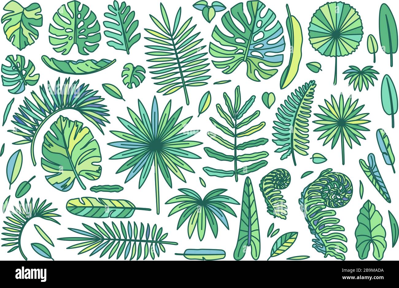 vector big exotic leaves set. cute drawn plant art Stock Vector