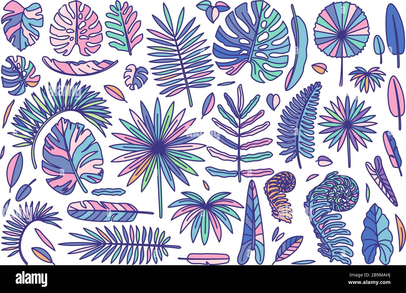 vector big exotic leaves set. cute drawn plant art Stock Vector