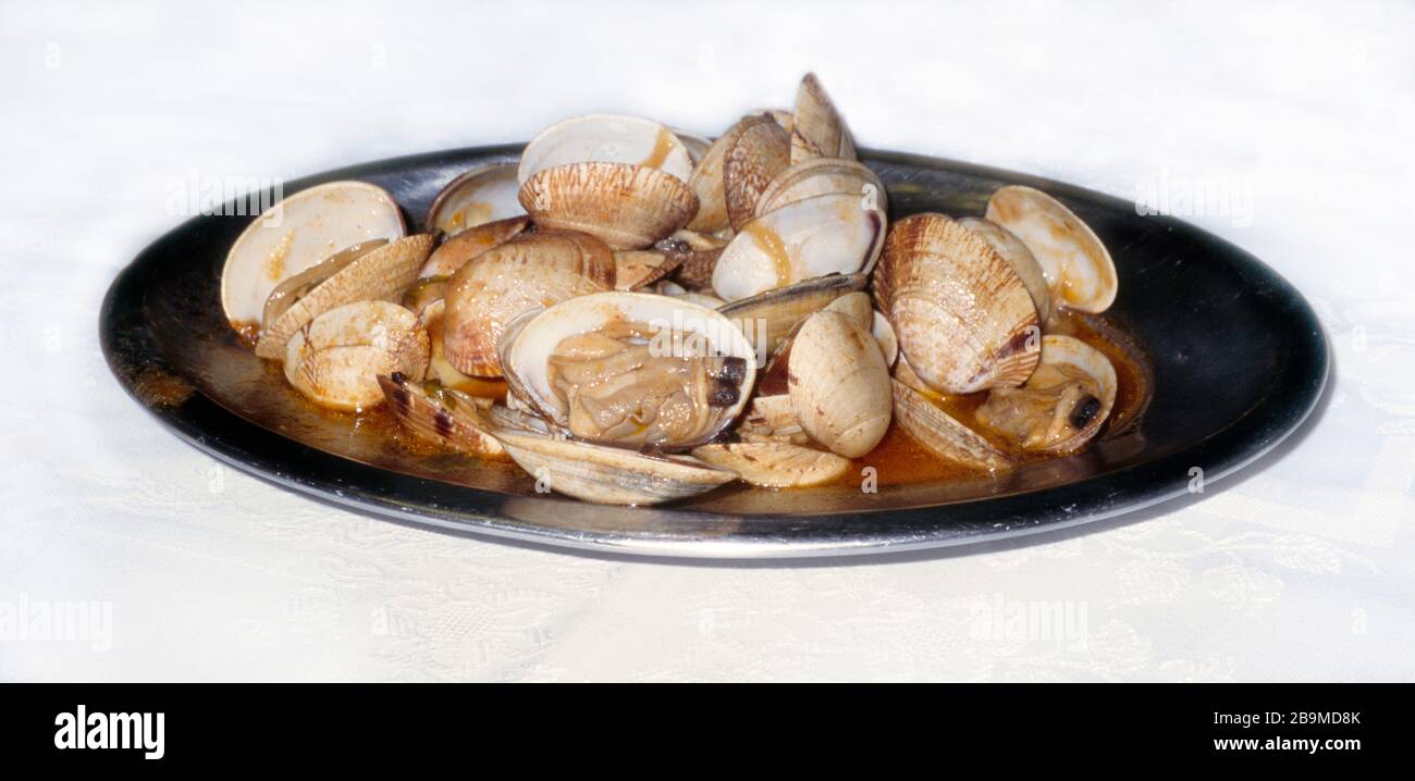 Galicia Spain Clams on a Plate Stock Photo