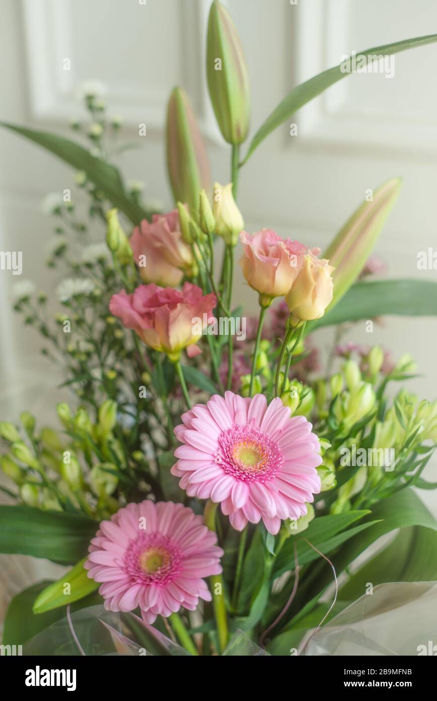Soft Focus Spring Flower Bouquet in Sunlight Stock Photo