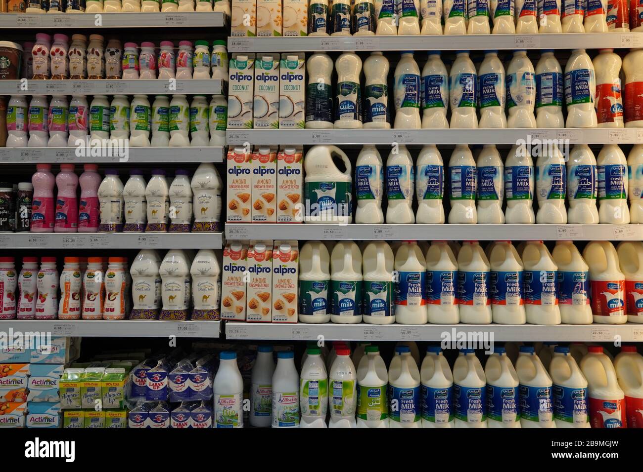 Dubai UAE December 2019 Milk bottles arranged on shelves for sale. Variety of sizes. Also present flavored milk strawberry milk, camel milk, coconut m Stock Photo