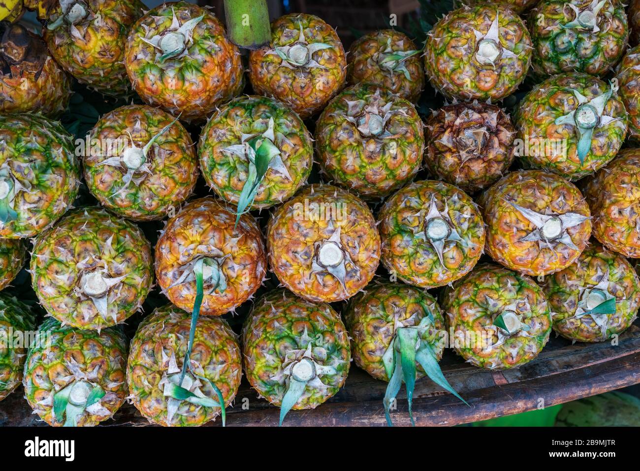 Pineapple stack at grocery on tropical marketplace outdoor,Samana
