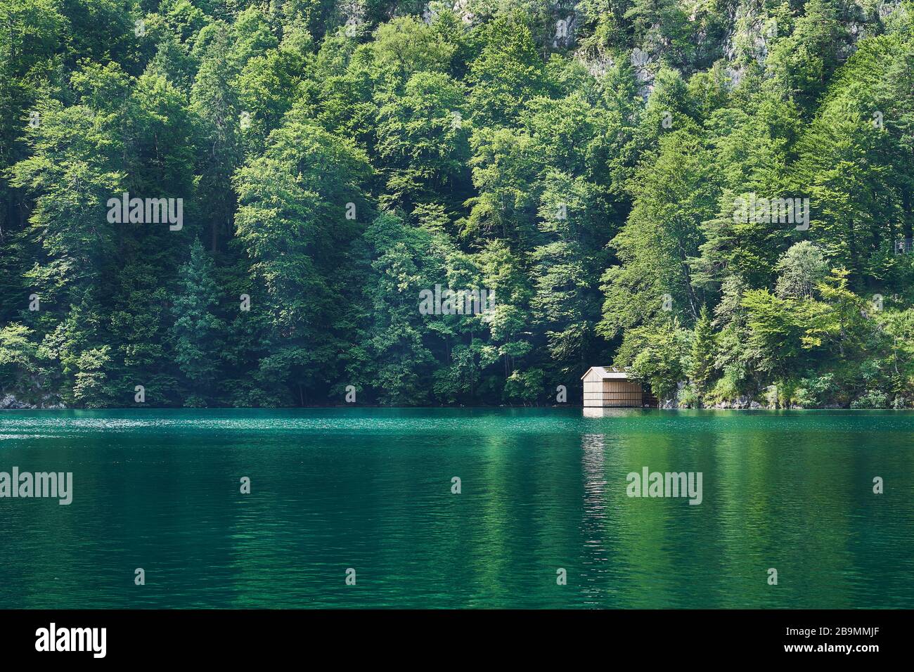 A cottage hidden among trees at the shor of a green coloured lake. Stock Photo