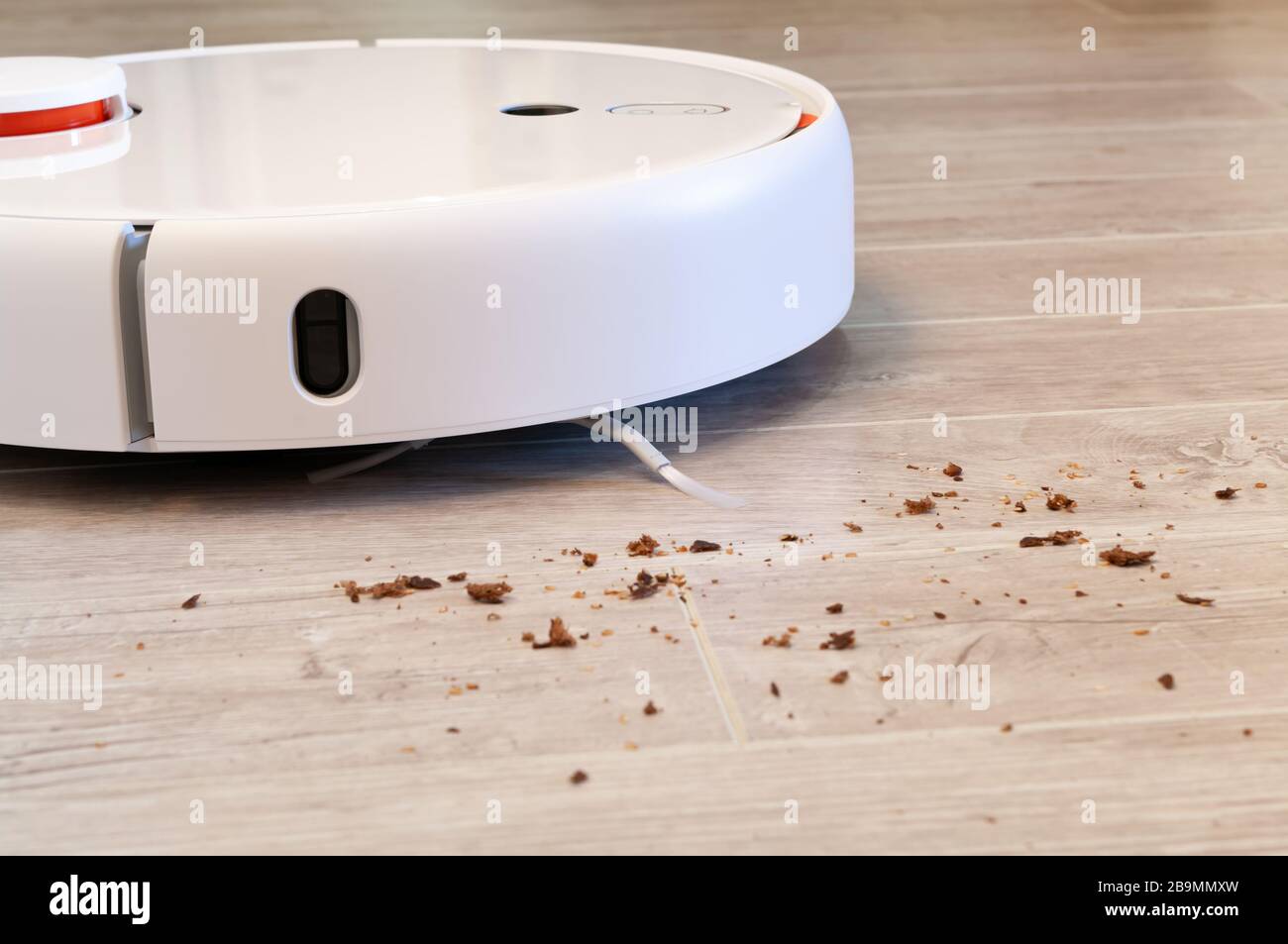 Robotic vacuum cleaner removes breadcrumbs from the laminate wood floor