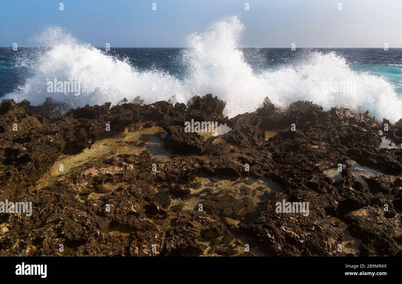 Powerful waves pound ashore in Washington Stagbaai National Park Stock Photo